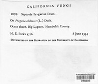 Image Associated With the Occurence